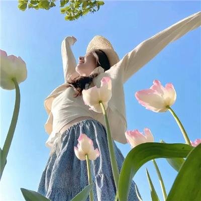 梦幻飞琴